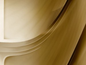 公司治理漫谈：从历史到未来